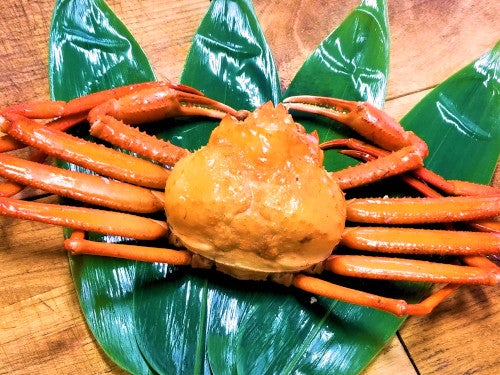 【名古屋発】紅ズワイガニ1杯のお土産付き!ブランド和牛ステーキ鉄板焼きランチ&干支参り・金運UP・美人祈願の三社初詣ミステリーツアー2